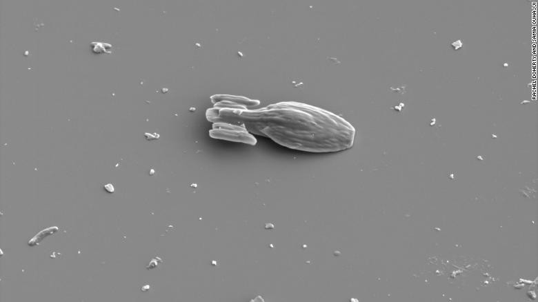 Những con tàu vũ trụ siêu nhỏ này không cần động cơ để di chuyển (Ảnh: CNN)