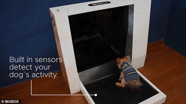 Người dùng có thể kiểm tra mức cát phủ còn lại trên Inubox thông qua ứng dụng trên smartphone (Ảnh: Dailymail) Người dùng có thể kiểm tra mức cát phủ còn lại trên Inubox thông qua ứng dụng trên smartphone (Ảnh: Dailymail)