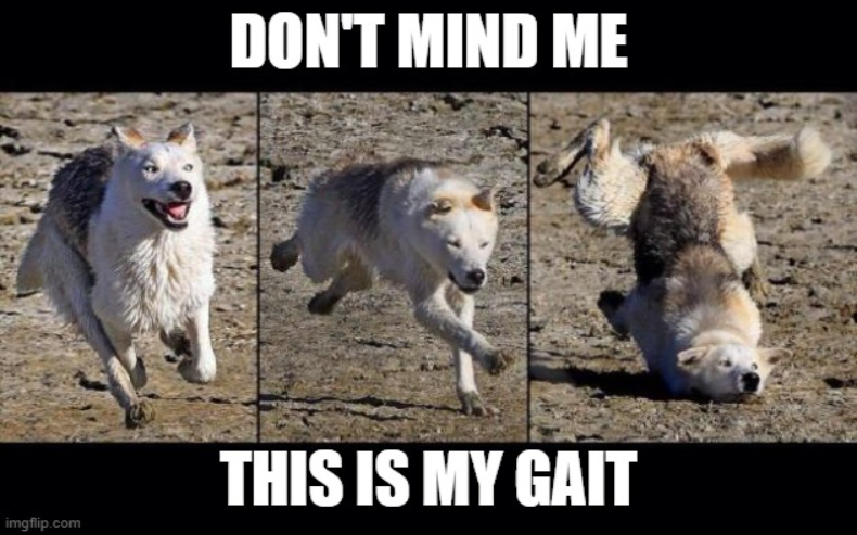 Con người không phải là những người duy nhất có dáng đi khác biệt (Ảnh: Scienceabc)