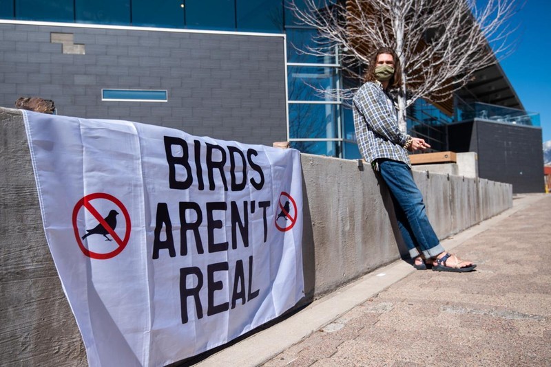 Phong trào Bird Aren&apos;t Real nổ ra từ năm 2017 và đã có rất nhiều người tham gia (Ảnh: Jack Central)