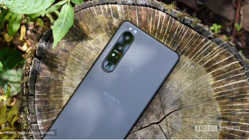 Tập trung đánh vào thị trường ngách là một quyết định chính xác của Sony (Ảnh: Android Authority) Tập trung đánh vào thị trường ngách là một quyết định chính xác của Sony (Ảnh: Android Authority)