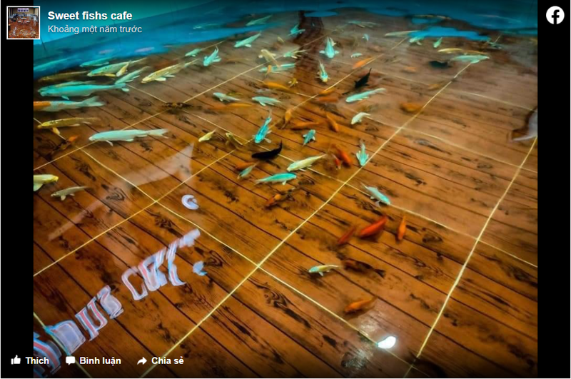 Sàn của quán cafe được làm giống như một bể cá (Ảnh: Facebook) Sàn của quán cafe được làm giống như một bể cá (Ảnh: Facebook)