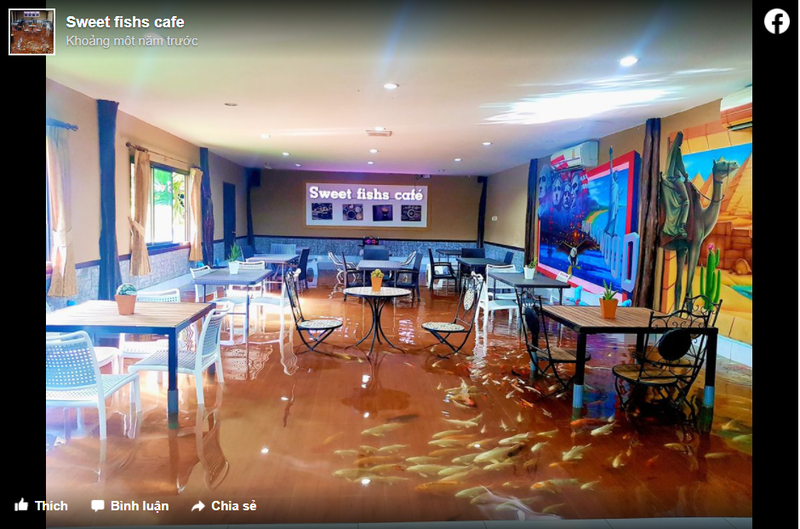 Sweet Fishs Café thu hút được rất nhiều sự quan tâm đến từ khách du lịch (Ảnh: Facebook) Sweet Fishs Café thu hút được rất nhiều sự quan tâm đến từ khách du lịch (Ảnh: Facebook)
