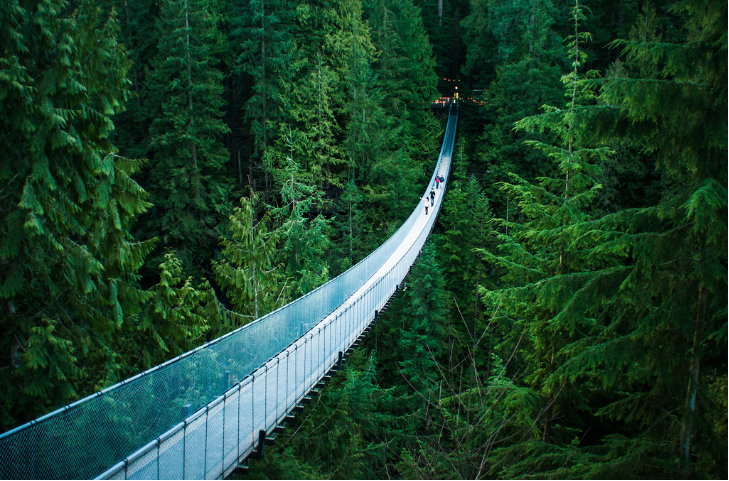 Ảnh: BrightSide Ảnh: BrightSide