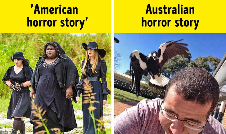 Ảnh: BrightSide Ảnh: BrightSide