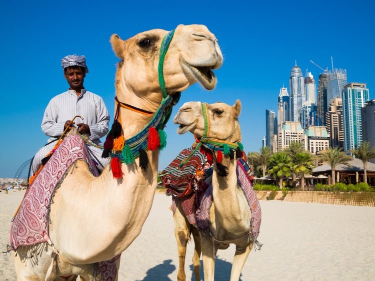 Ảnh: Business Insider Ảnh: Business Insider