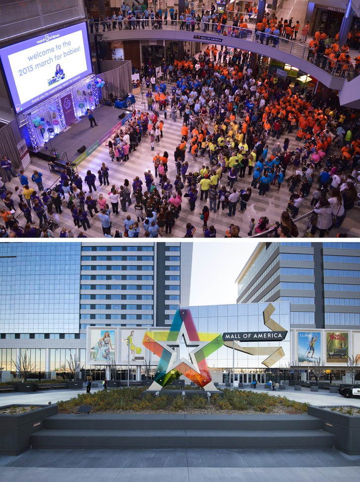 Ảnh: BrightSide Ảnh: BrightSide