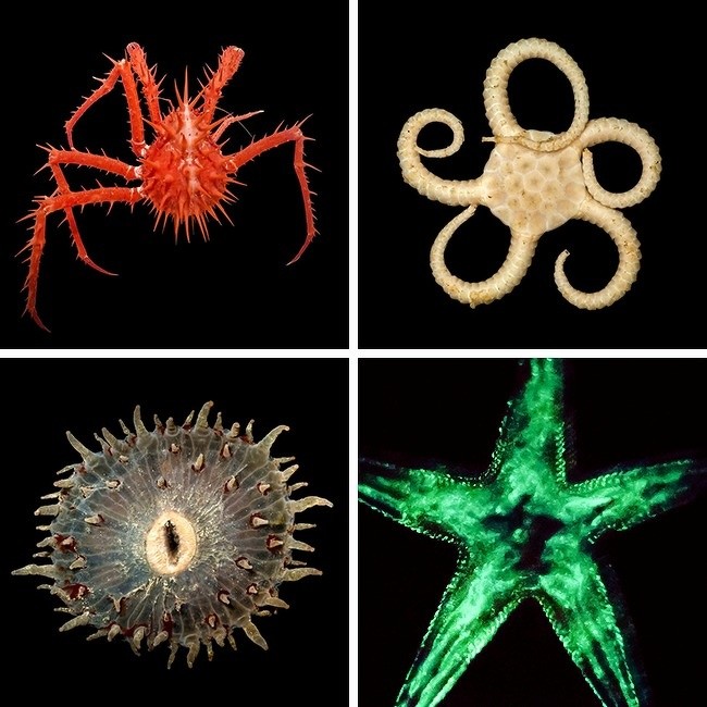 Ảnh: BrightSide Ảnh: BrightSide