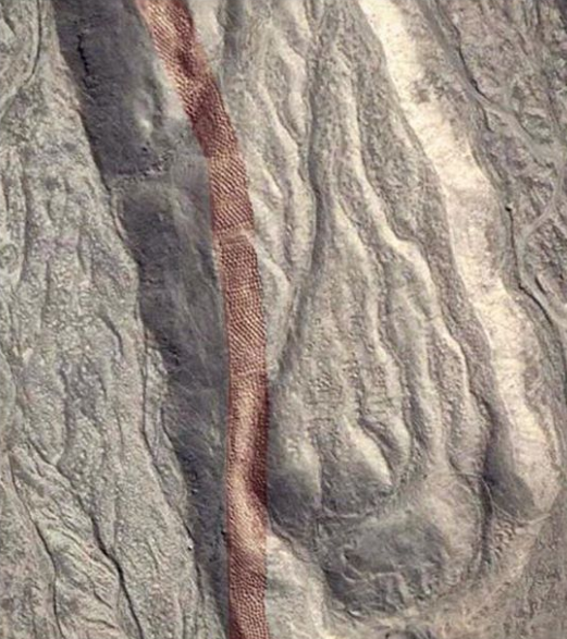 Ảnh: BrightSide Ảnh: BrightSide