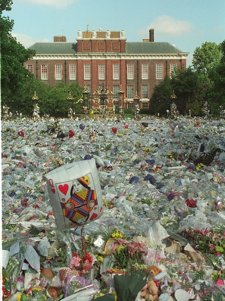 Ảnh: BrightSide Ảnh: BrightSide