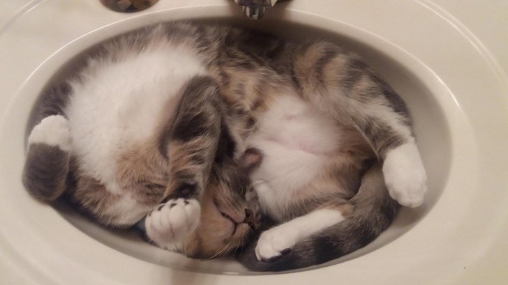 Ảnh: BrightSide Ảnh: BrightSide