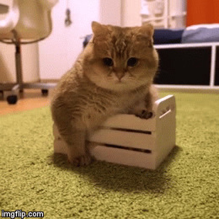 Ảnh: BrightSide Ảnh: BrightSide