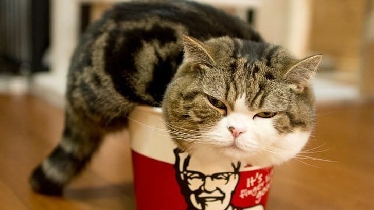 Ảnh: BrightSide Ảnh: BrightSide