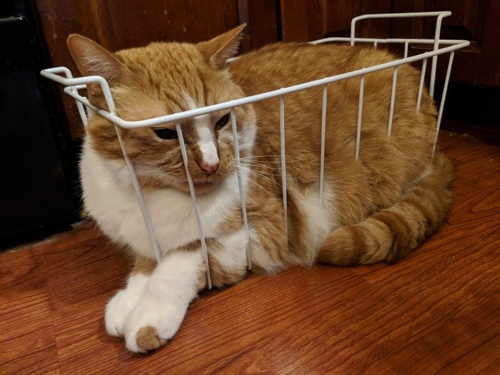 Ảnh: BrightSide Ảnh: BrightSide