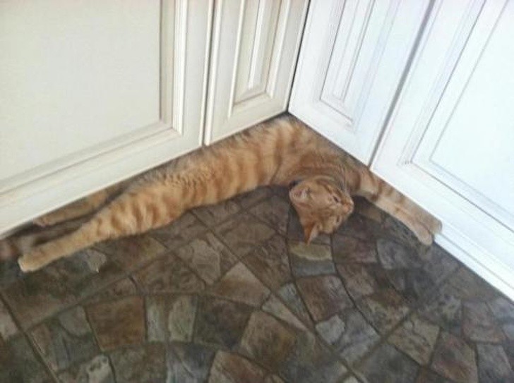 Ảnh: BrightSide Ảnh: BrightSide