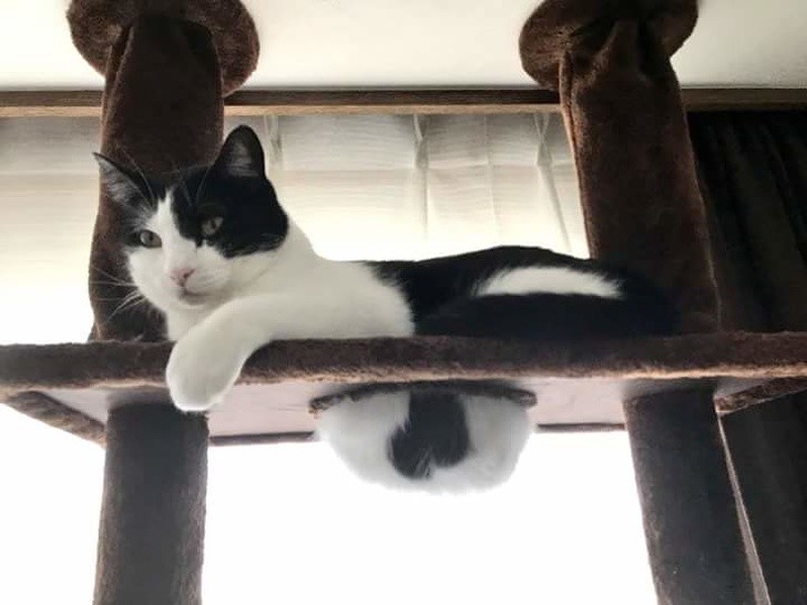 Ảnh: BrightSide Ảnh: BrightSide