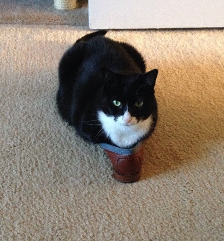 Ảnh: BrightSide Ảnh: BrightSide