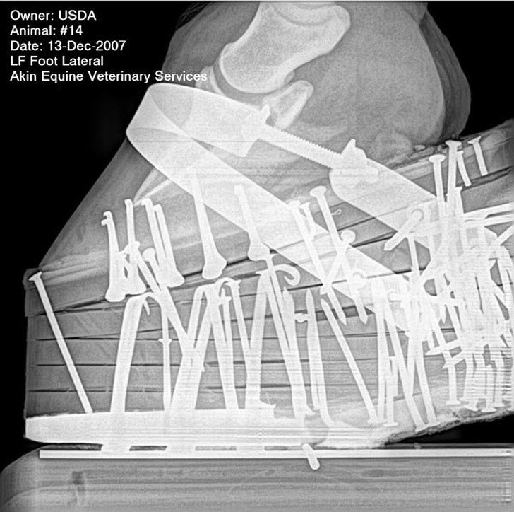 Ảnh: BrightSide Ảnh: BrightSide