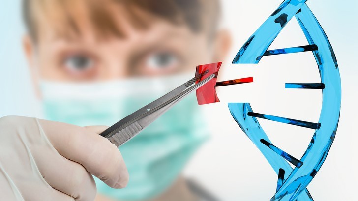 Ảnh: BrightSide Ảnh: BrightSide