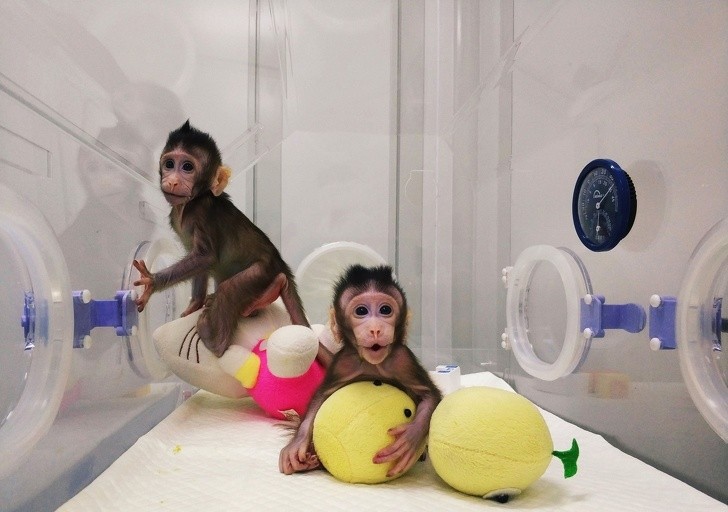 Ảnh: BrightSide Ảnh: BrightSide