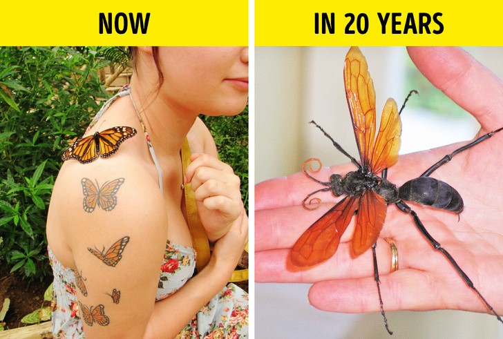 Ảnh: BrightSide Ảnh: BrightSide