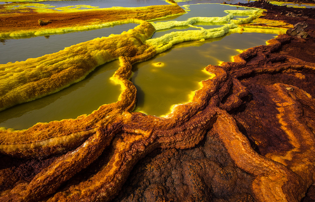 Ảnh: BrightSide Ảnh: BrightSide