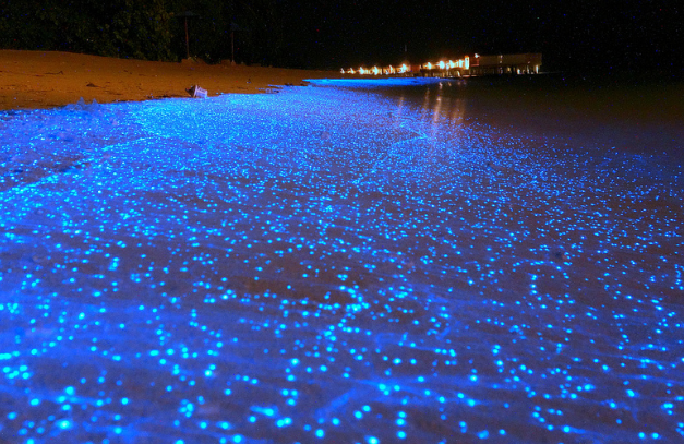 Ảnh: BrightSide Ảnh: BrightSide