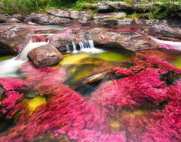 Ảnh: BrightSide Ảnh: BrightSide