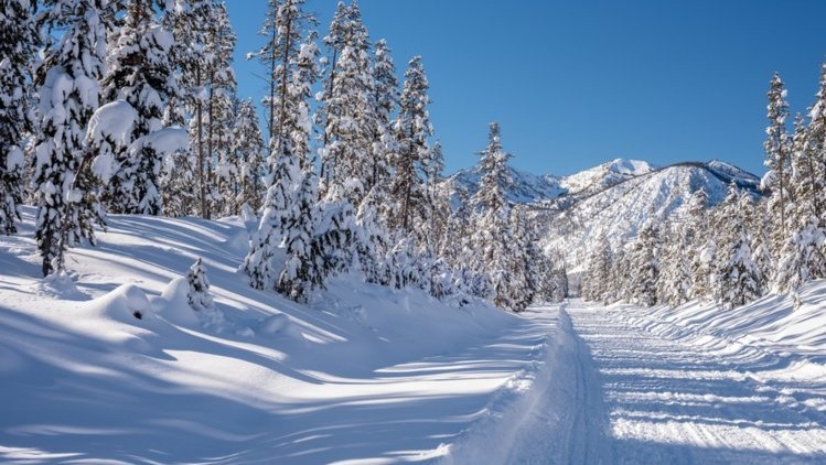 Ảnh: Business Insider Ảnh: Business Insider