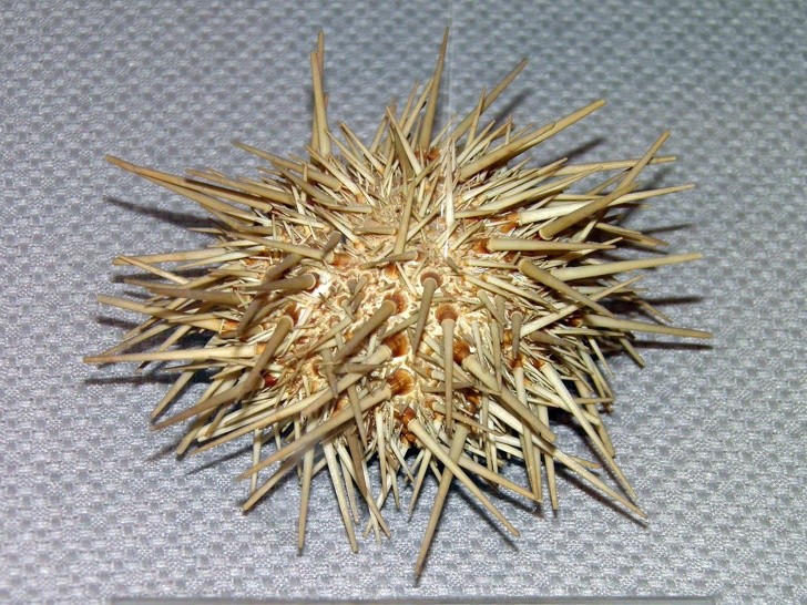 Ảnh: BrightSide Ảnh: BrightSide