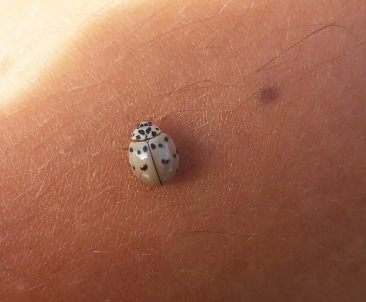 Ảnh: BrightSide Ảnh: BrightSide