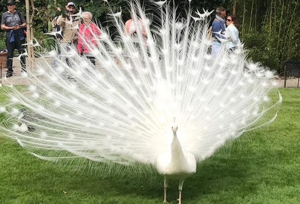 Ảnh: BrightSide Ảnh: BrightSide