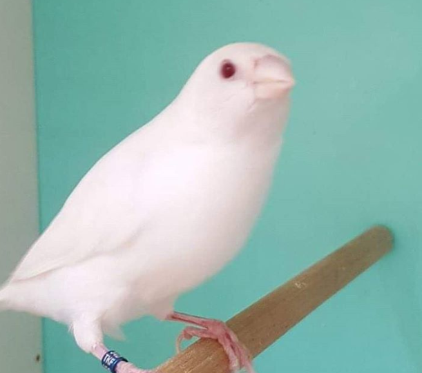 Ảnh: BrightSide Ảnh: BrightSide