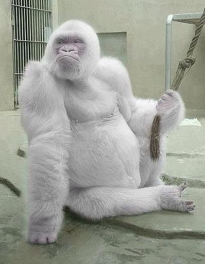 Ảnh: BrightSide Ảnh: BrightSide