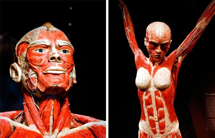 Ảnh: BrightSide Ảnh: BrightSide