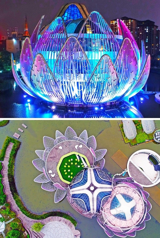 Ảnh: BrightSide Ảnh: BrightSide