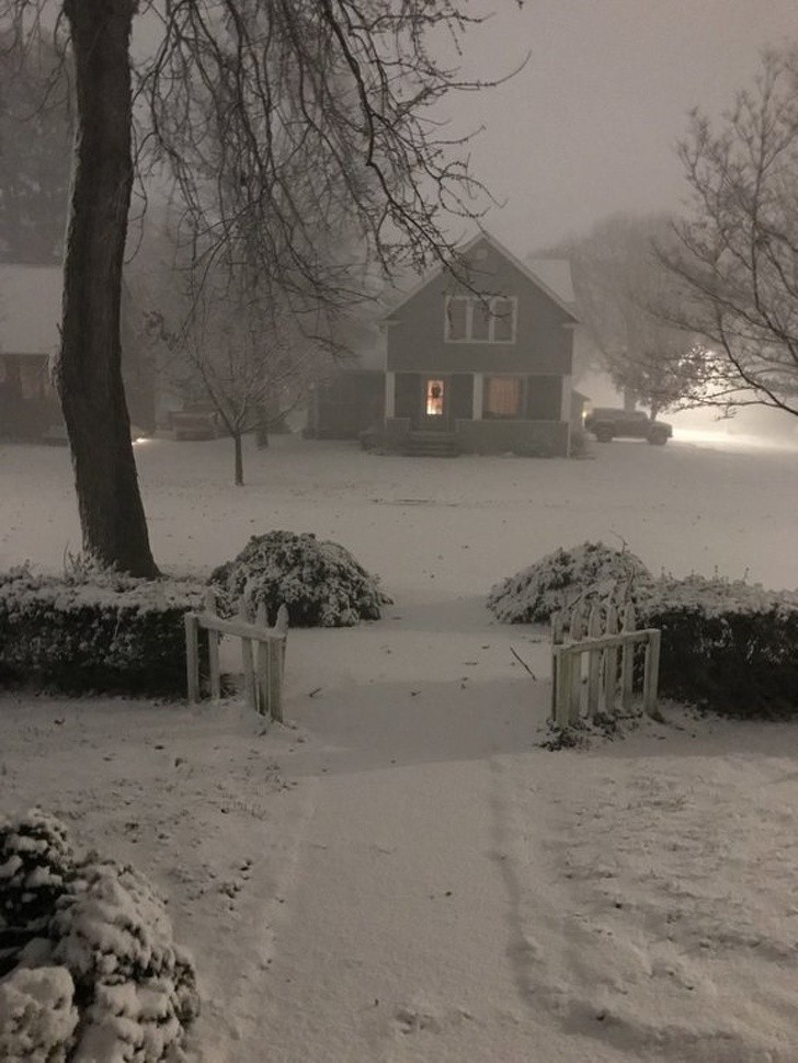 Ảnh: BrightSide Ảnh: BrightSide