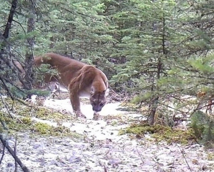 Ảnh: BrightSide Ảnh: BrightSide