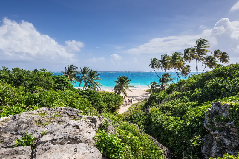 Ảnh: This Is Insider.