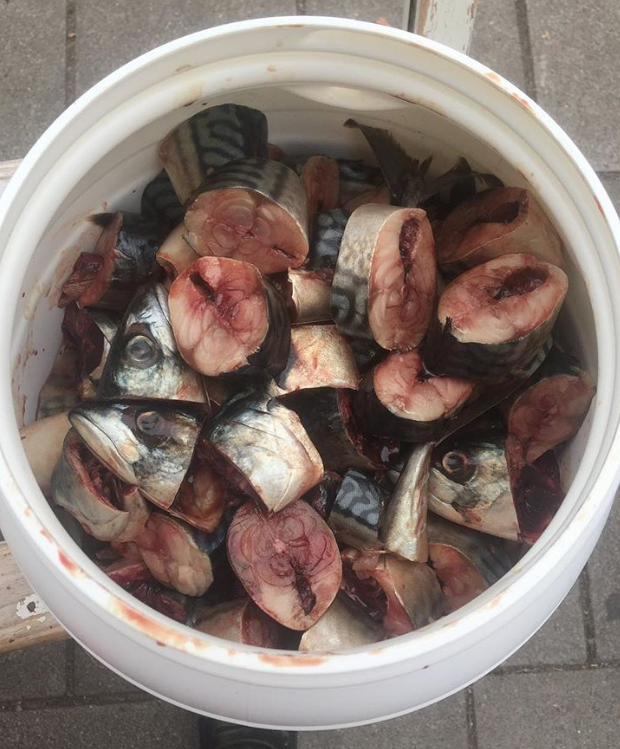 Ảnh: BrightSide Ảnh: BrightSide