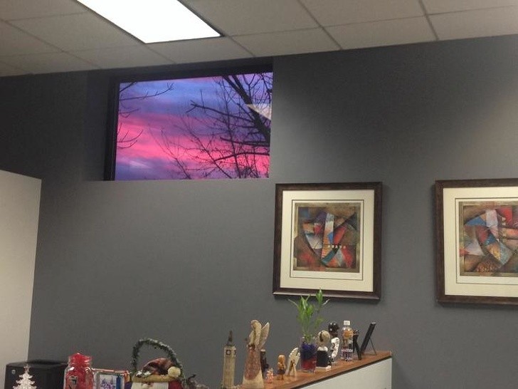 Ảnh: BrightSide Ảnh: BrightSide