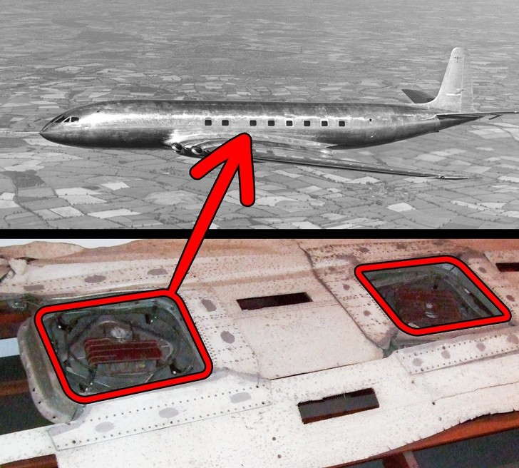 Ảnh: BrightSide Ảnh: BrightSide