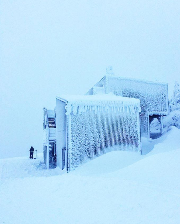 Ảnh: BrightSide Ảnh: BrightSide