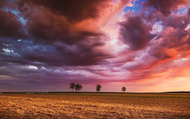 Ảnh: BrightSide Ảnh: BrightSide