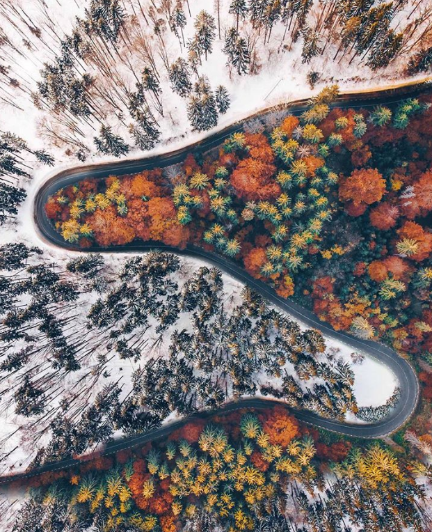 Ảnh: BrightSide Ảnh: BrightSide