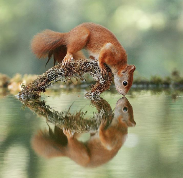 Ảnh: BrightSide Ảnh: BrightSide