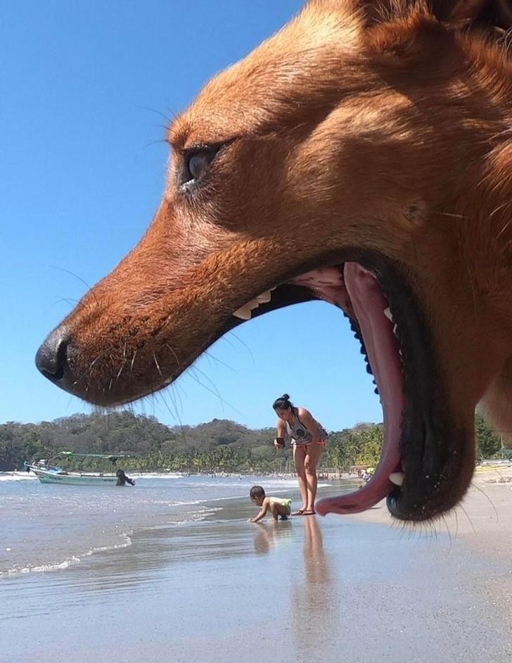 Ảnh: BrightSide Ảnh: BrightSide