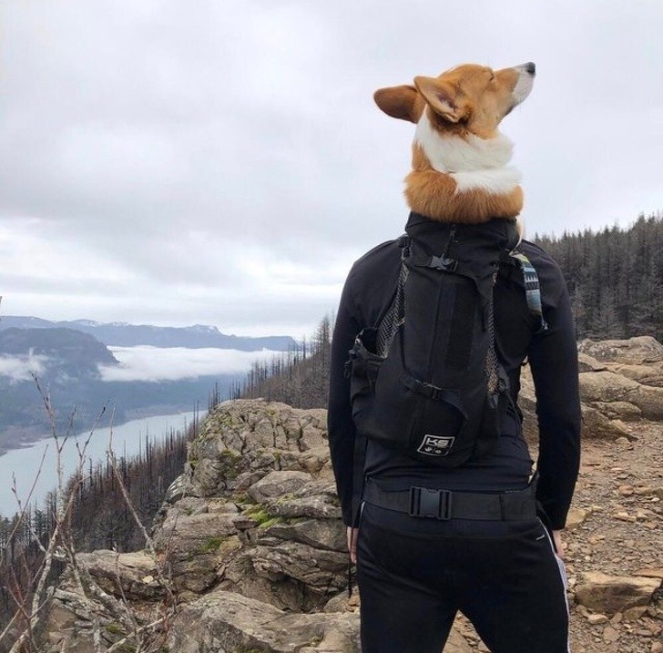 Ảnh: BrightSide Ảnh: BrightSide
