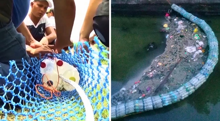 Ảnh: BrightSide Ảnh: BrightSide