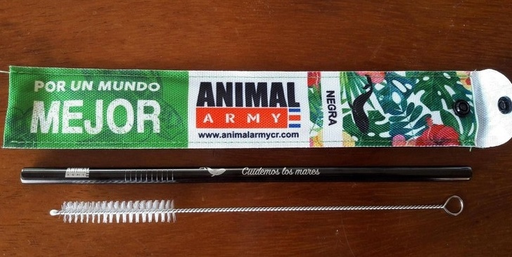 Ảnh: BrightSide Ảnh: BrightSide